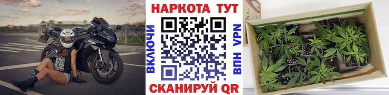Какие есть наркотики Махачкала АМФ МАРИХУАНА СОЛЬ Меф Гашиш