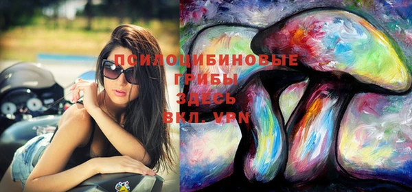 дурь Алзамай