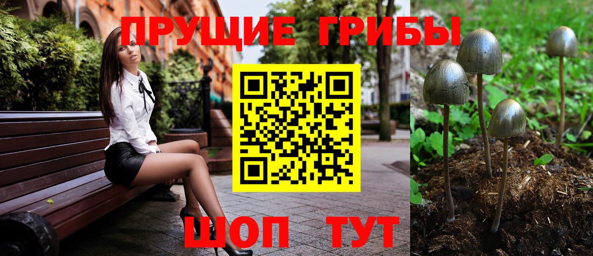 Галлюциногенные грибы Psilocybine cubensis  Вход с VPN  Махачкала 